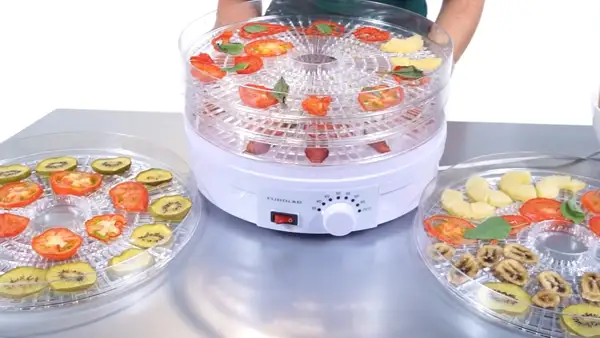 Can You Run a Dehydrator for Too Long