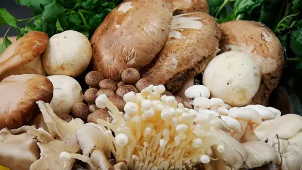 rehydrate mushrooms