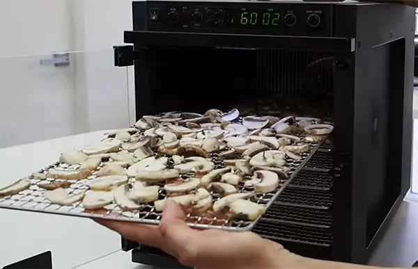Enjoy the Nutritious Dried Mushrooms With Quality Dehydrator
