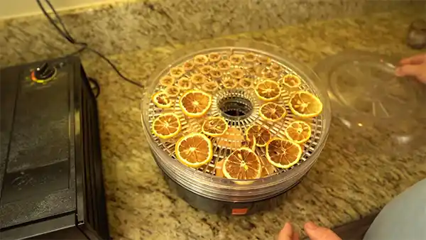 How Long Does It Take To Dehydrate Food