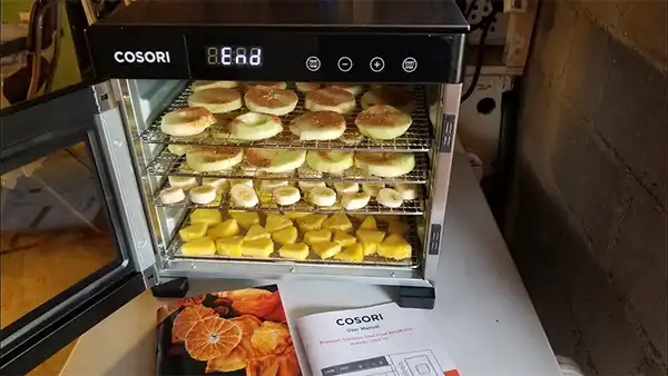 How Often To Rotate Dehydrator Trays Importance of Rotating