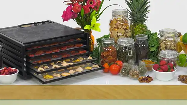 What Are the Benefits Of Regularly Rotating Dehydrator Trays
