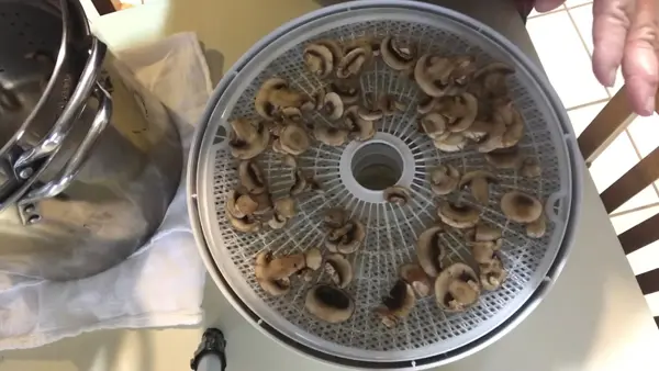 What Size Do You Need to Cut for Dehydrating Mushrooms