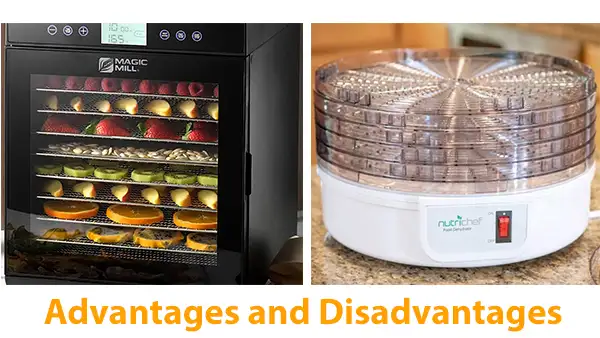 Advantages and Disadvantages of Square and Round Dehydrator