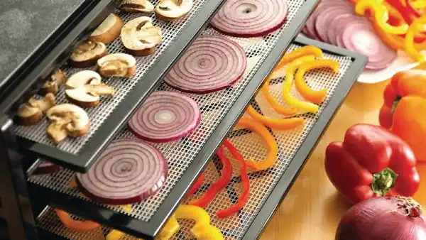Can You Cure Onions in a Dehydrator without a Pungent Smell