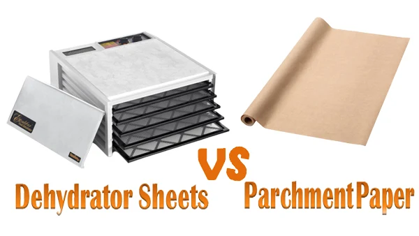 Difference Between Dehydrator Sheets vs Parchment Paper