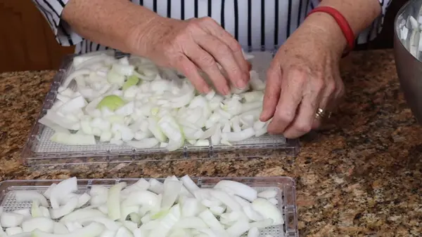 How to Get Onion Smell Out of a Food Dehydrator