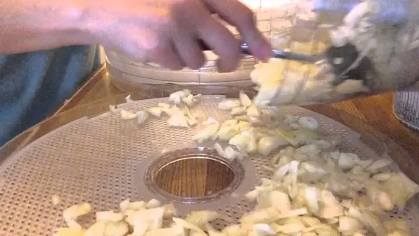 Why Is There An Onion Smell Coming from My Food Dehydrator