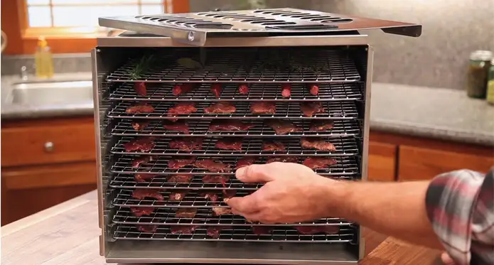 Is it Safe to Leave a Food Dehydrator on Overnight [Answered]