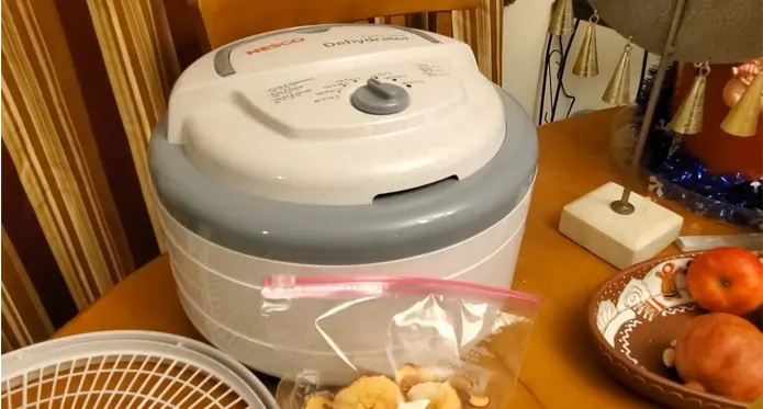 Why Does My Nesco Food Dehydrator Shut Off : Only 7 Reasons