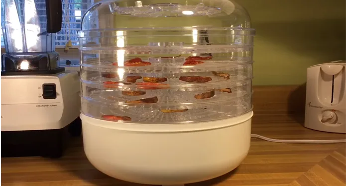 Why did My Food Dehydrator Stopped Working : 4 Precautions