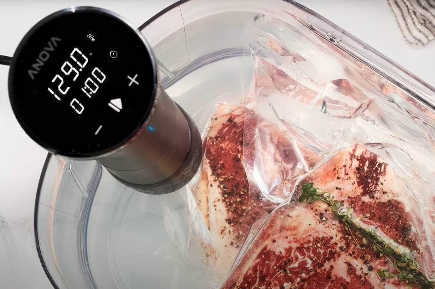 Best Sous Vide Cooker