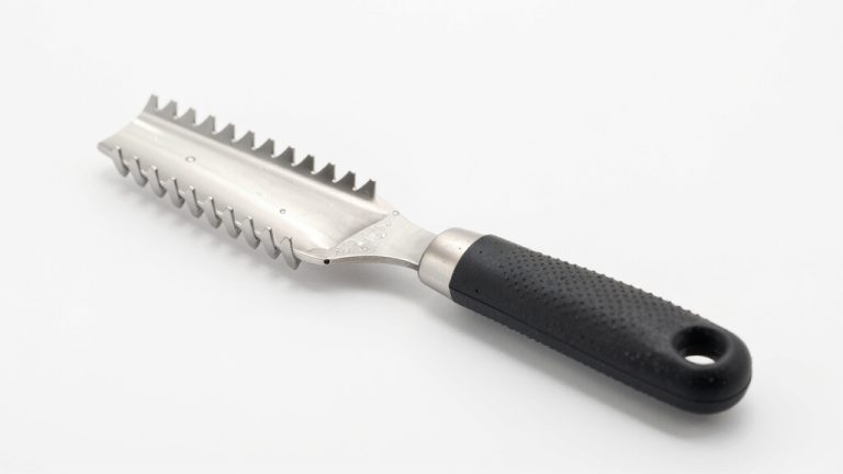 best fish scaler
